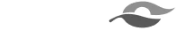ecorodovias